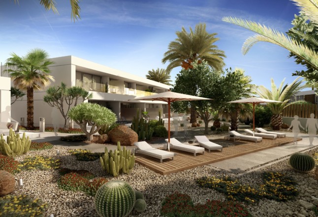 Vegetación Tenerife.